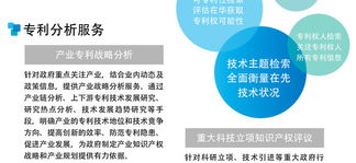 專(zhuān)利檢索與信息咨詢(xún)服務(wù) 助力創(chuàng)新與知識(shí)產(chǎn)權(quán)保護(hù)