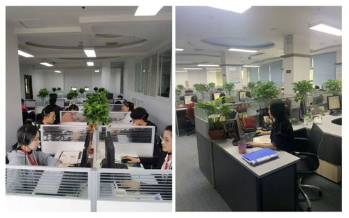 成都市成華區(qū)府青路街道第七次全國(guó)人口普查咨詢(xún)熱線服務(wù)開(kāi)通